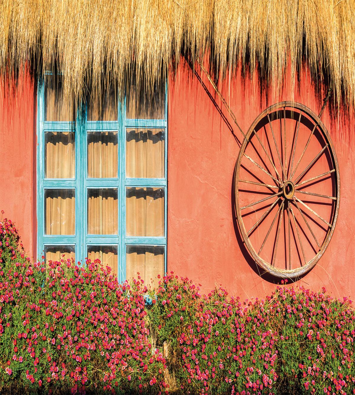 Country House — Pattern