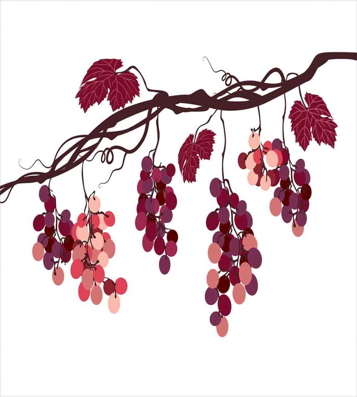 Vine Colorful Grapes — Pattern