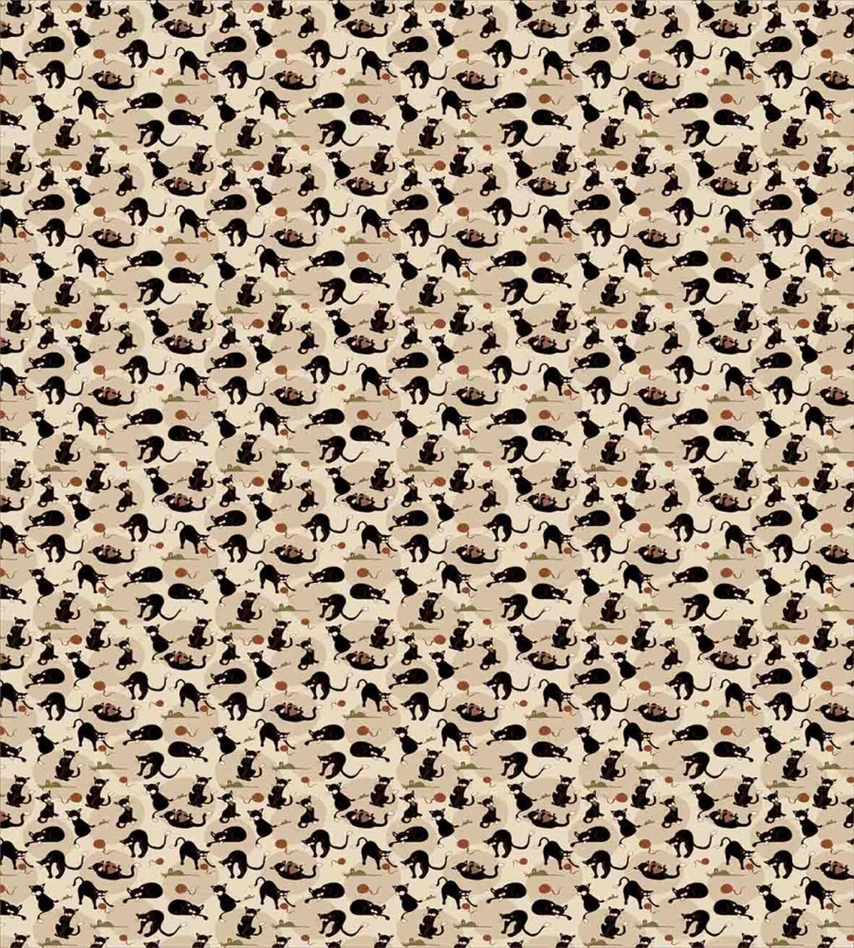 House Pet Playing with Ball — Pattern