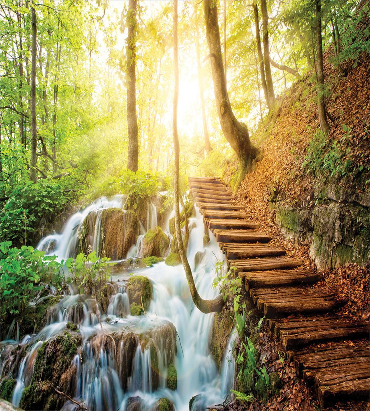 Deep Forest with Stream — Pattern
