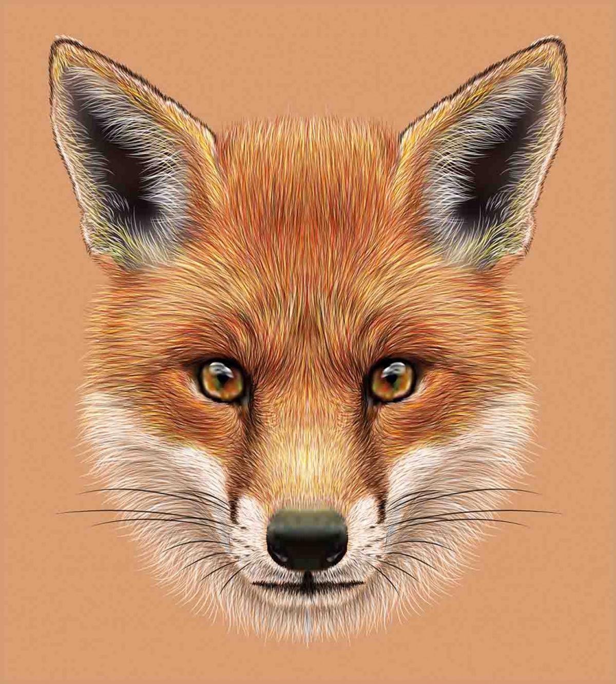 Fluffy Face Forest — Pattern