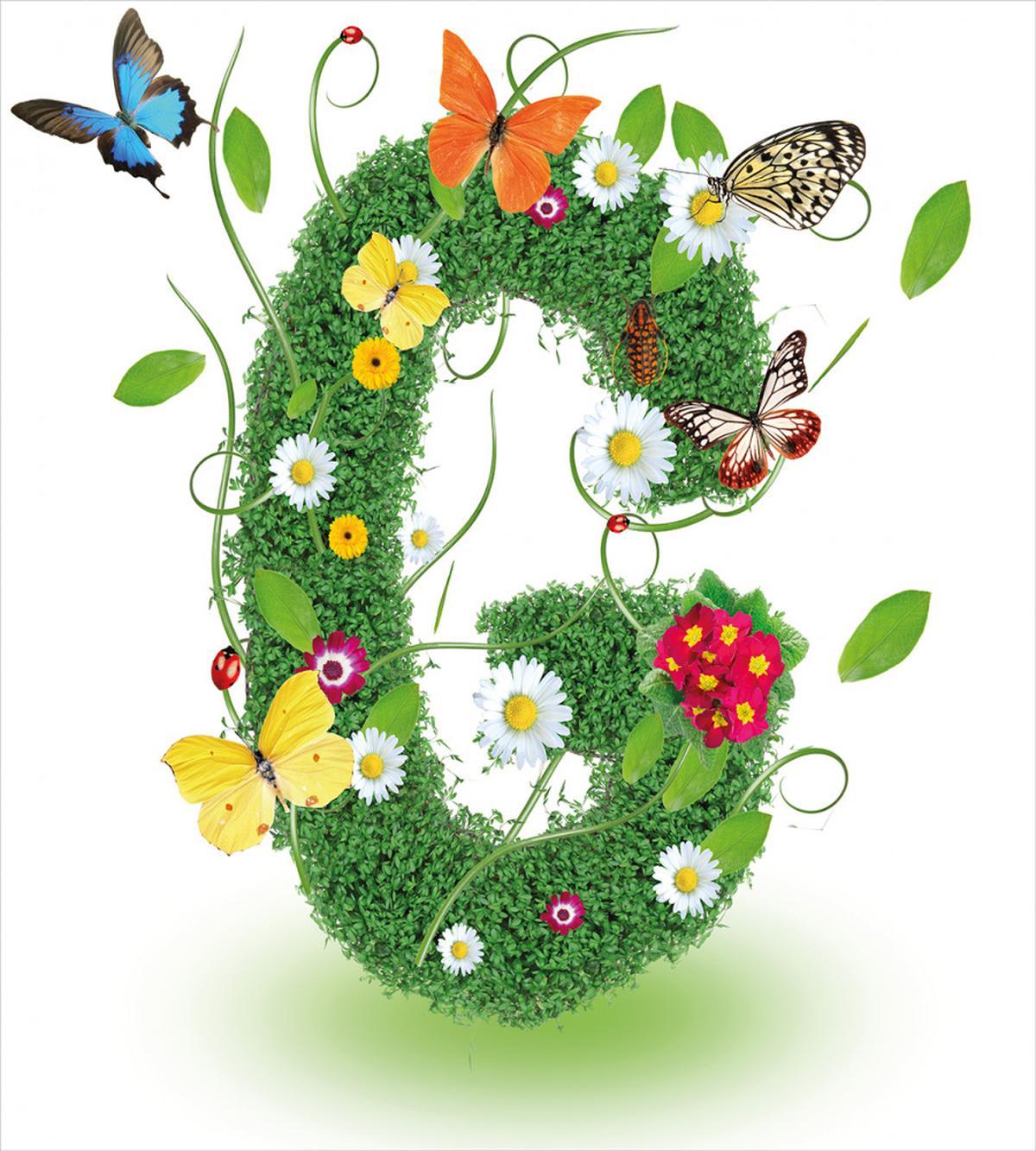 Spring Inspired G — Pattern