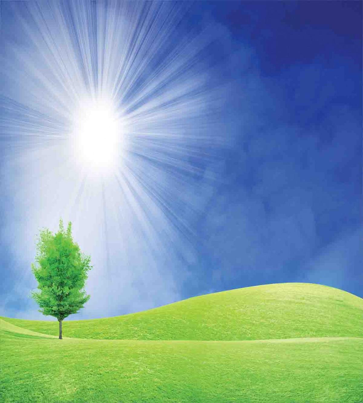 Sun Rays with Lonely Tree — Pattern
