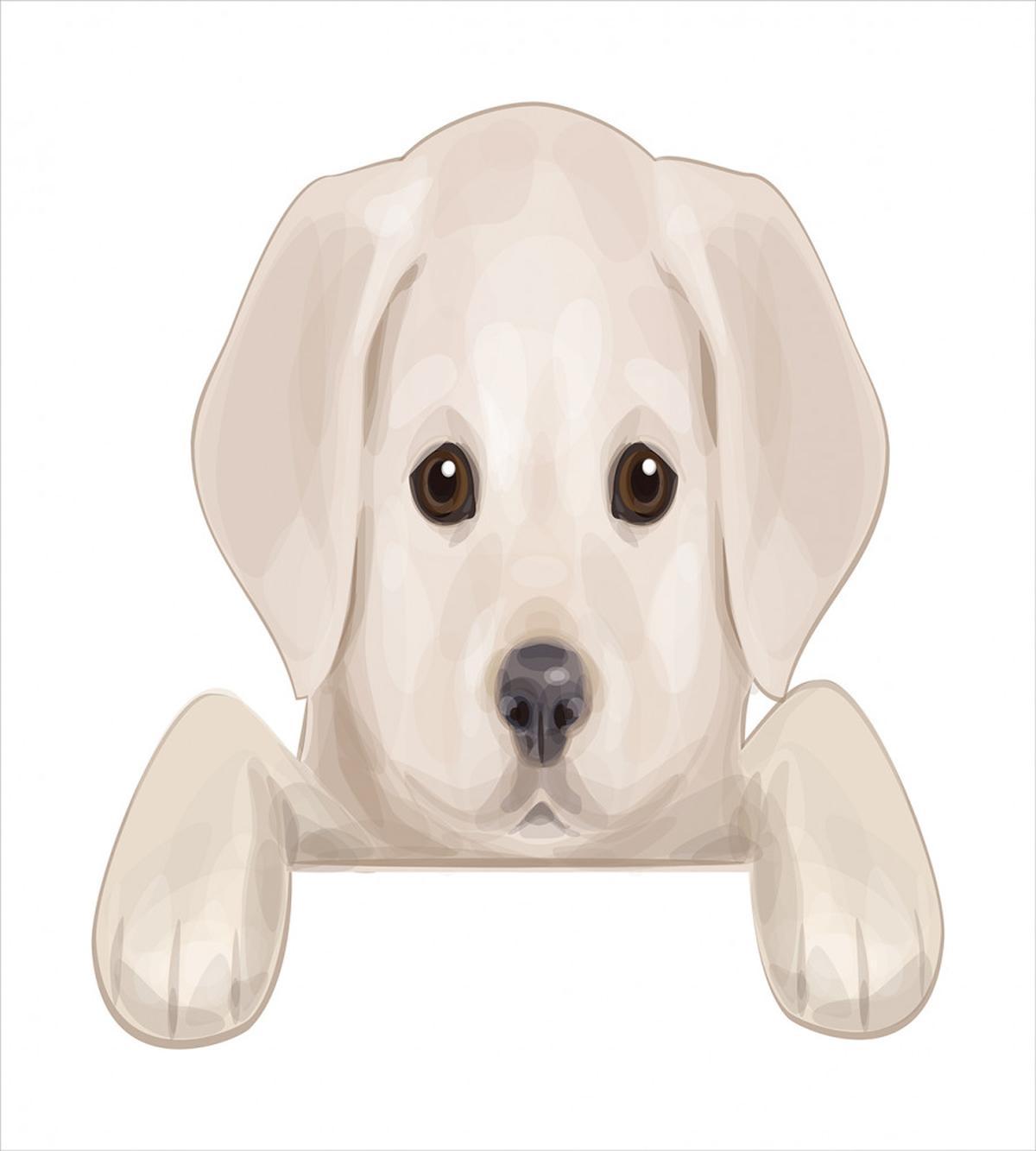 Puppy Hiding Paws — Pattern