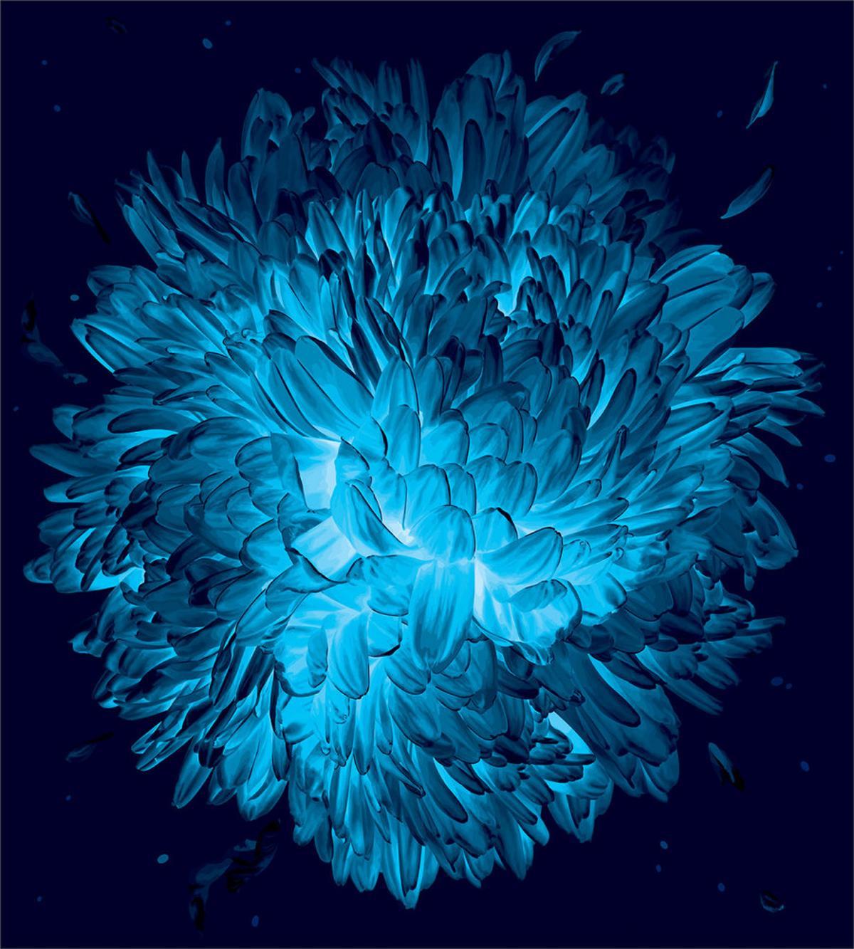 Luminous Chrysanthemum Art — Pattern