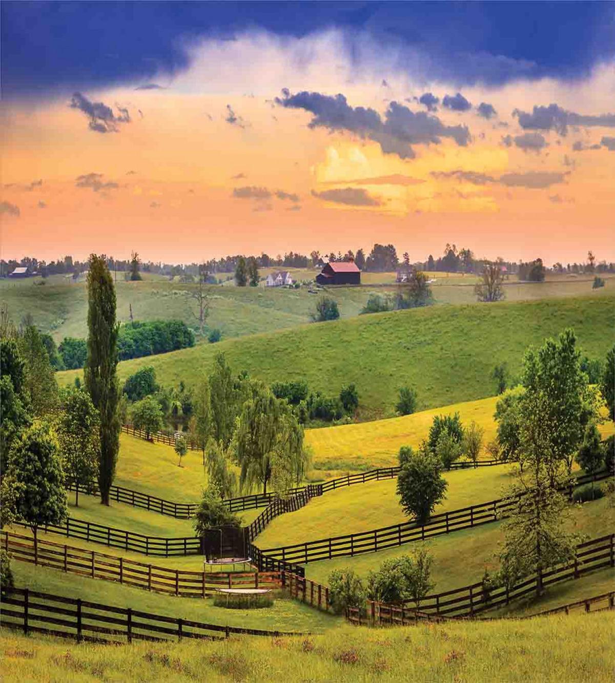 Surreal Countryside — Pattern