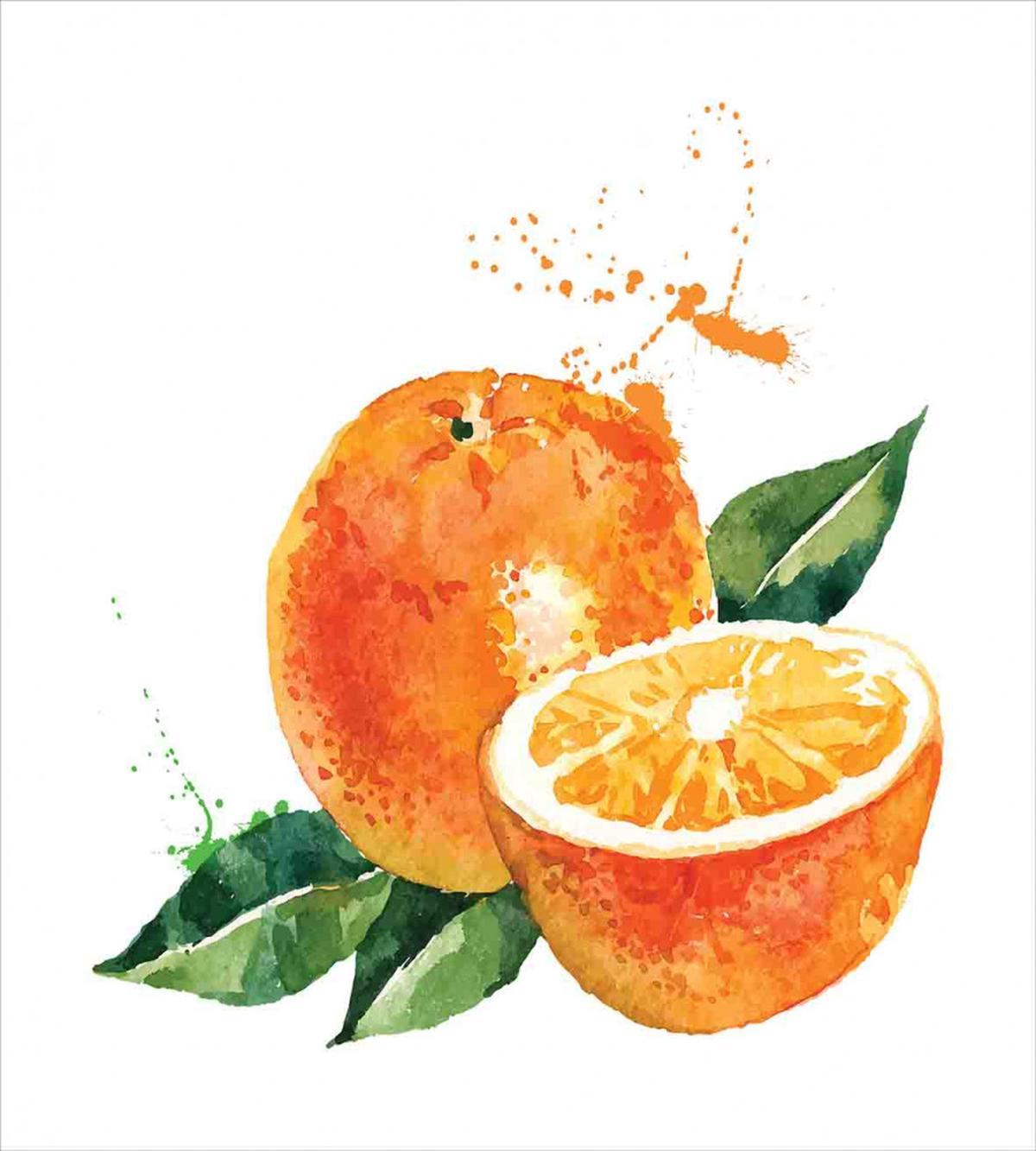 Watercolor Orange Art — Pattern