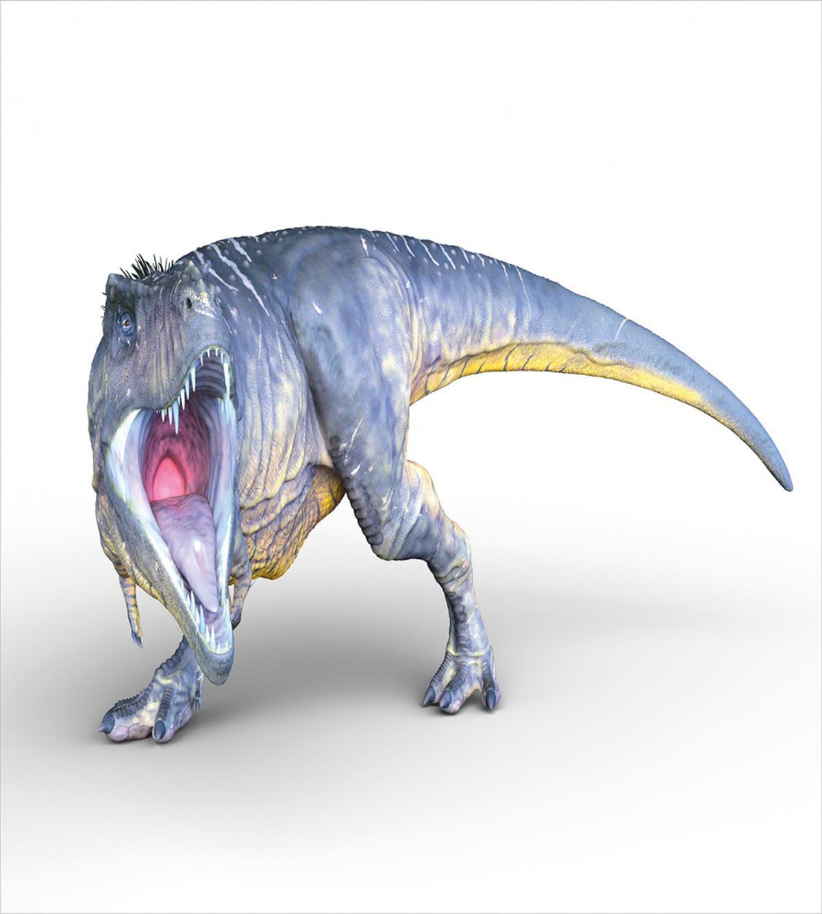 Monstrous Creature — Pattern