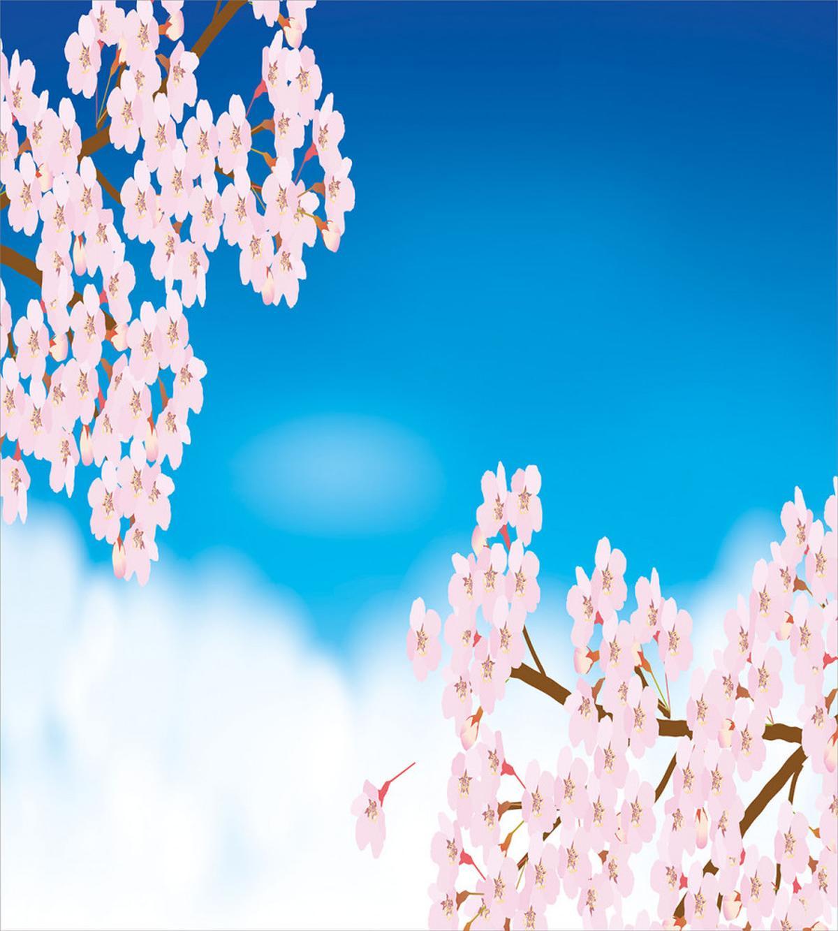 Tender Sakura and Sky — Pattern