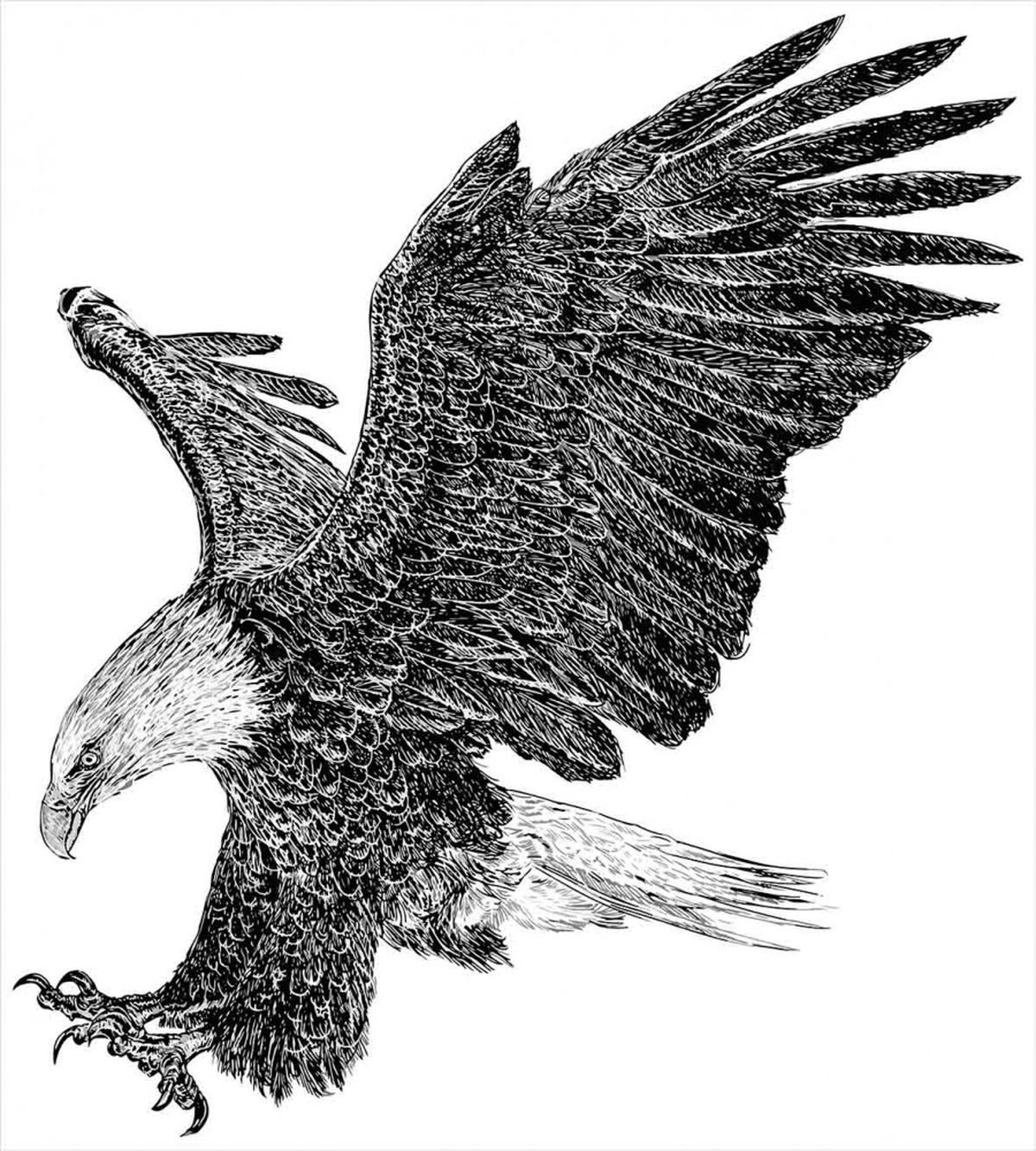 Bald Eagle Swoop Sketchy — Pattern