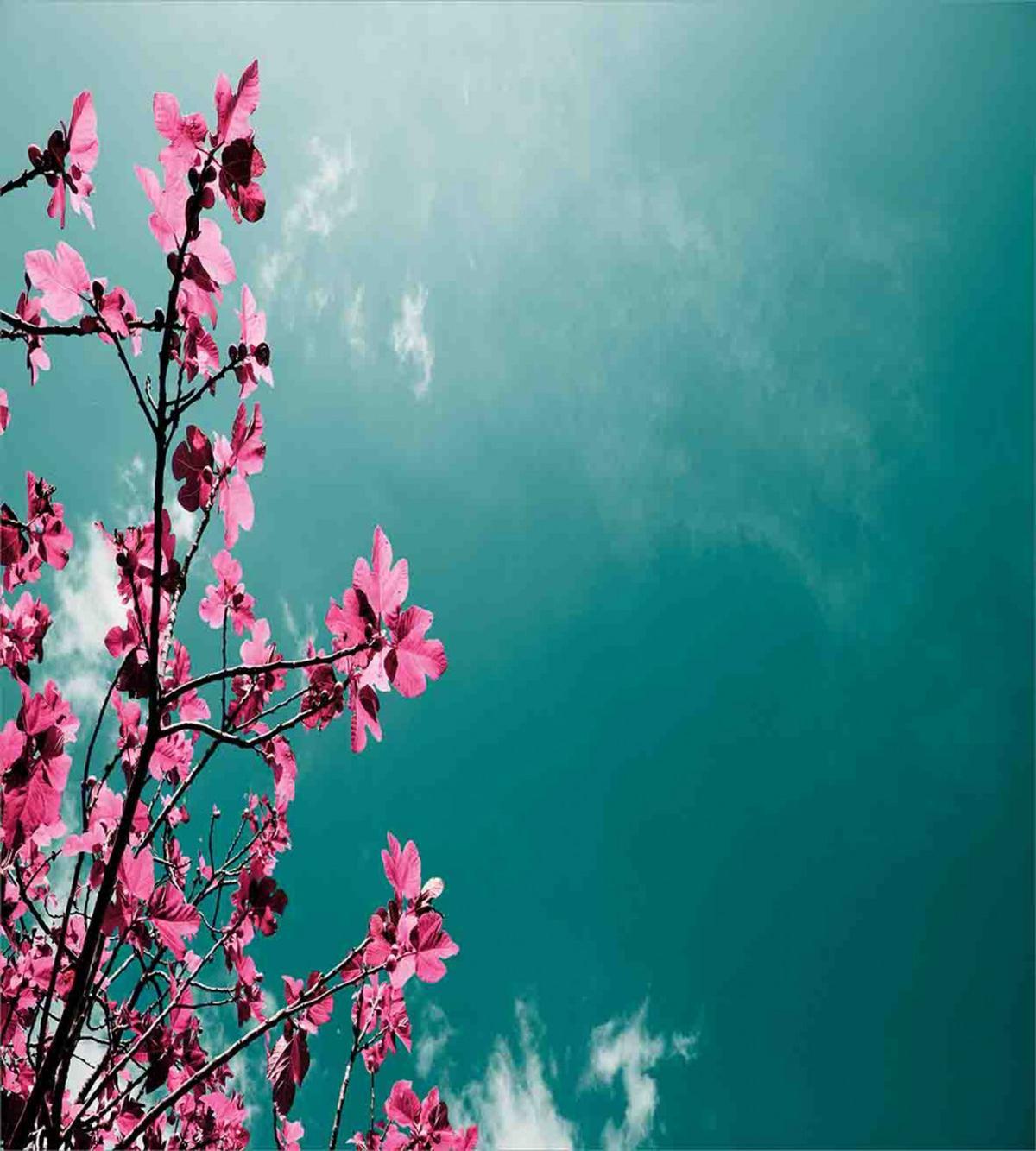 Sunny Sky Exotic Summer — Pattern