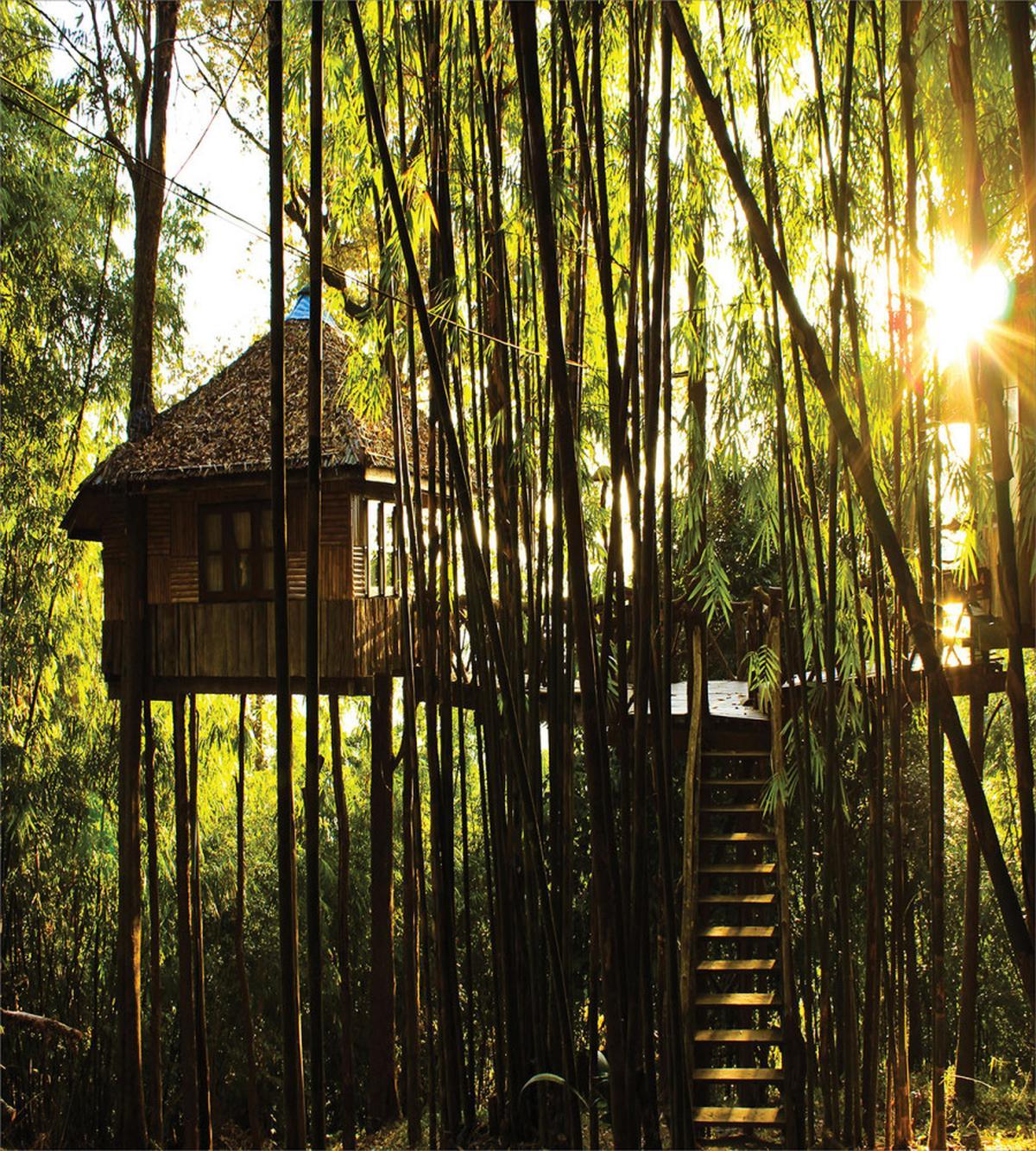 Hut in Idyllic Forest — Pattern