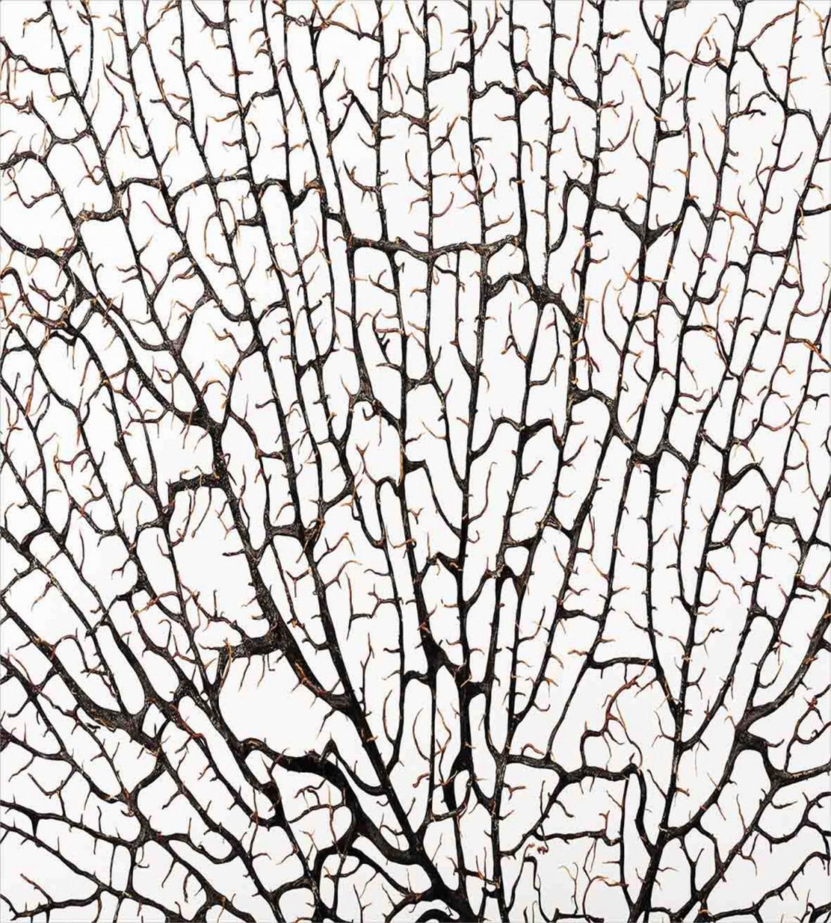 Cracked Branch Brown — Pattern
