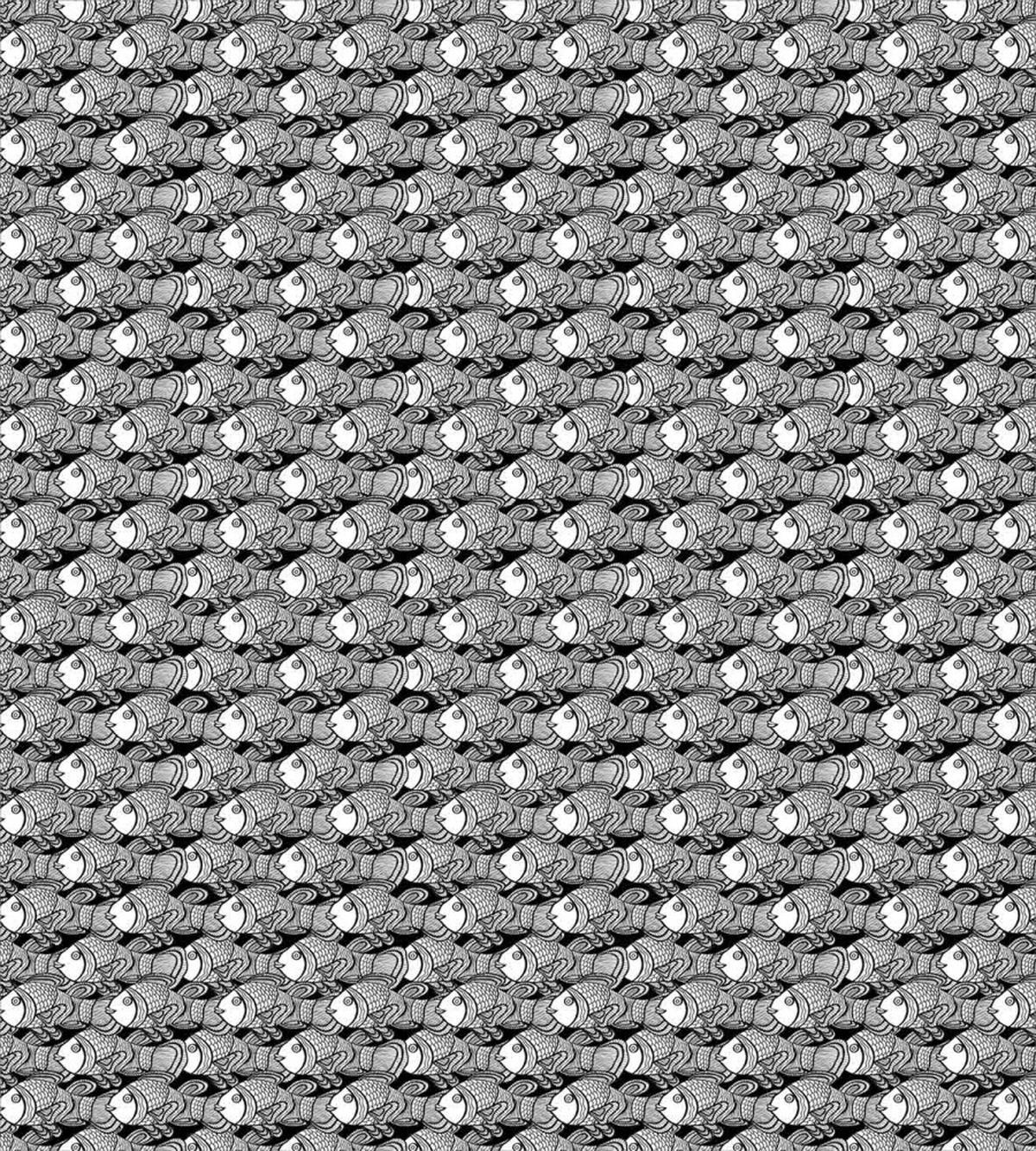 Black and White Anemonefish — Pattern