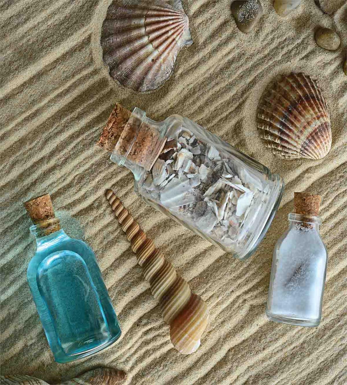Nautical Shells on Sands — Pattern