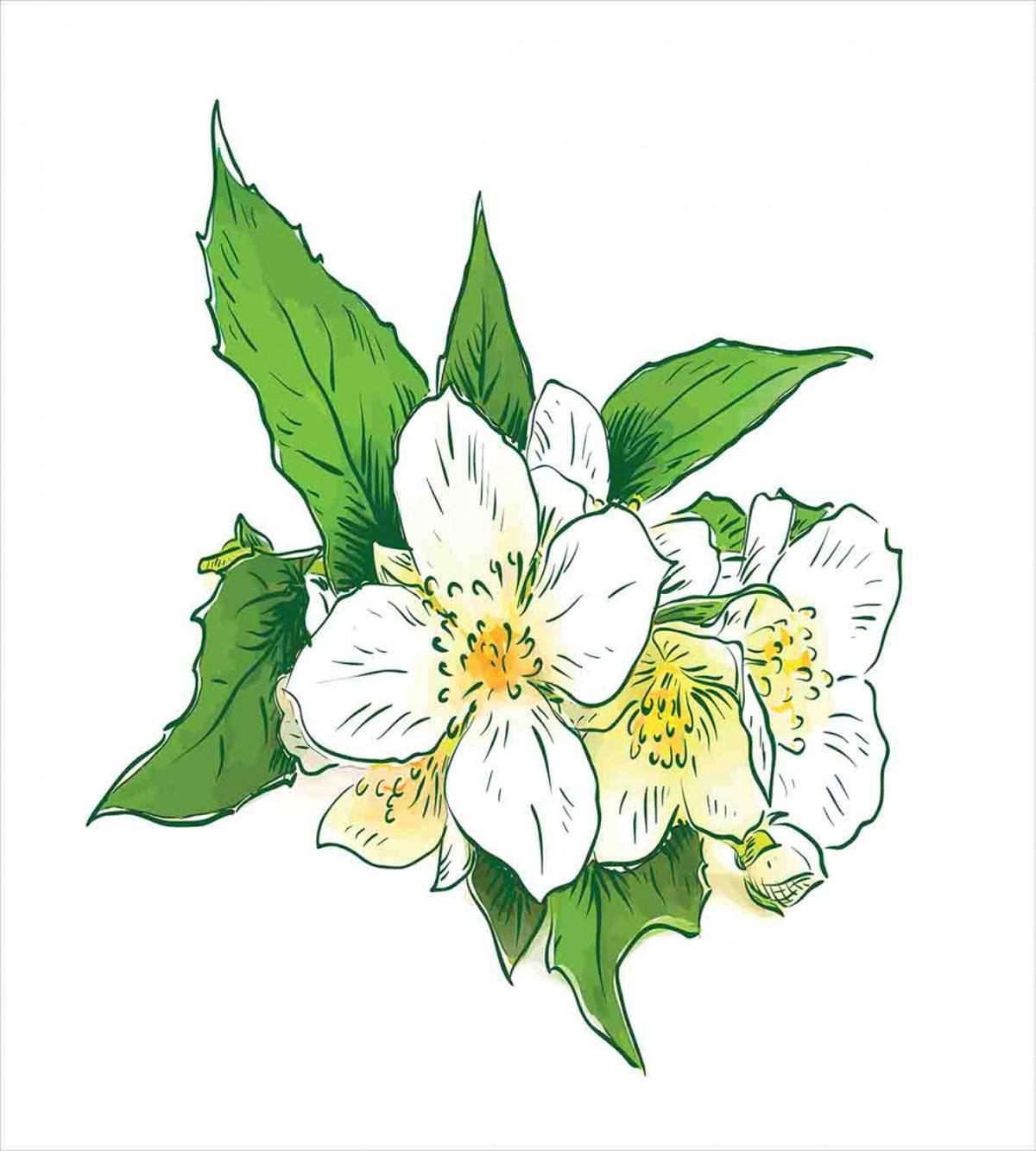 Freshness and Purity — Pattern