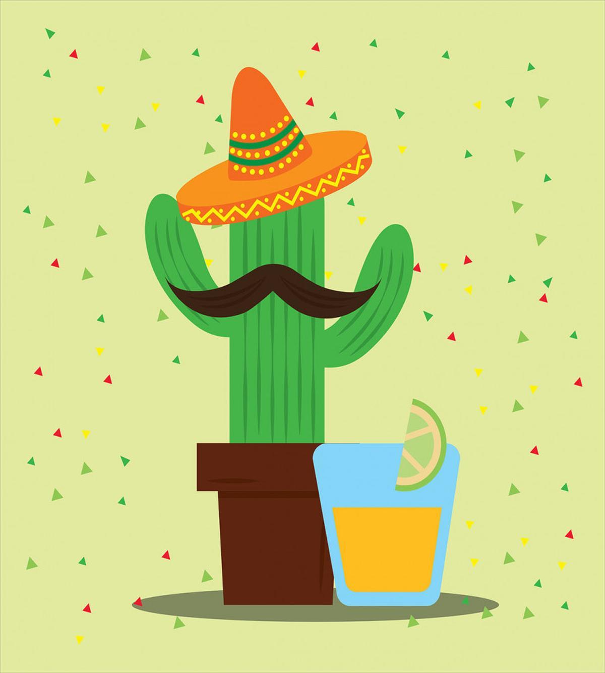 Mexican Cactus and Tequila — Pattern