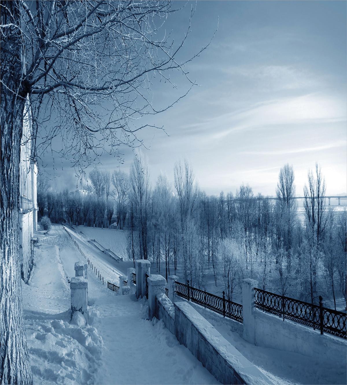 Ice Cold Snowy Scenery — Pattern