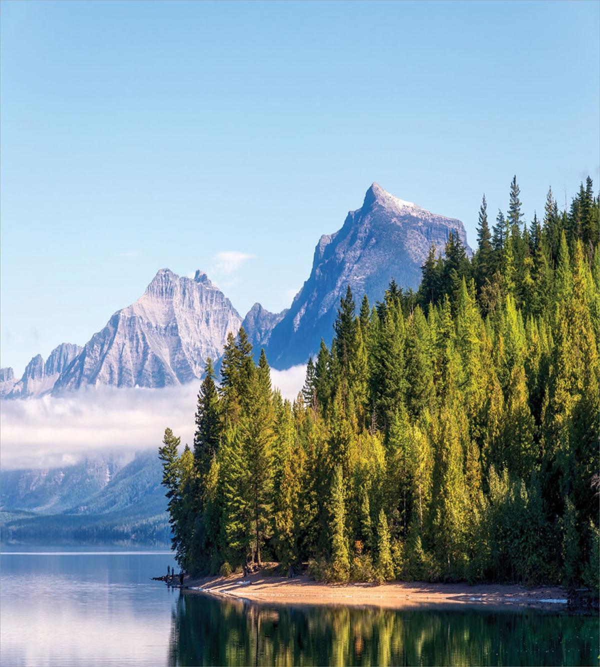 Forest with Misty Mountains — Pattern