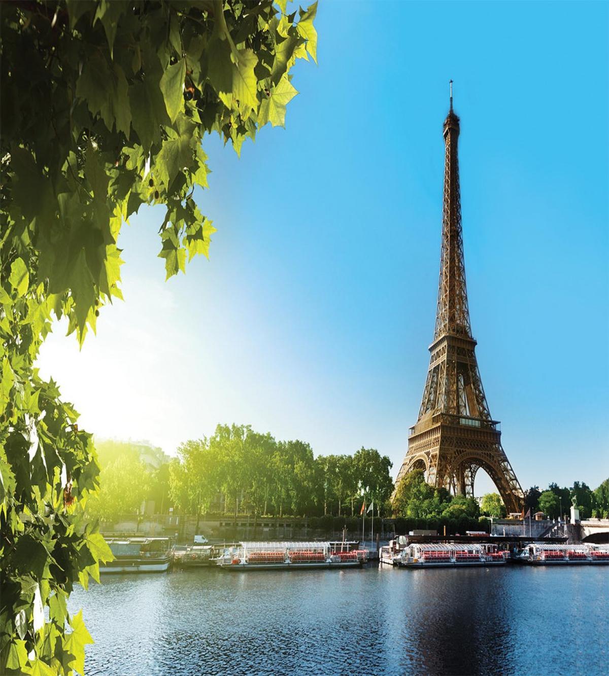 Sunny Day Eiffel Tower River — Pattern