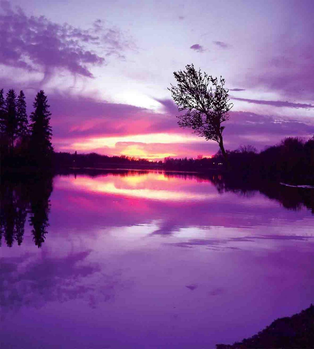 Purple Shade Skies — Pattern