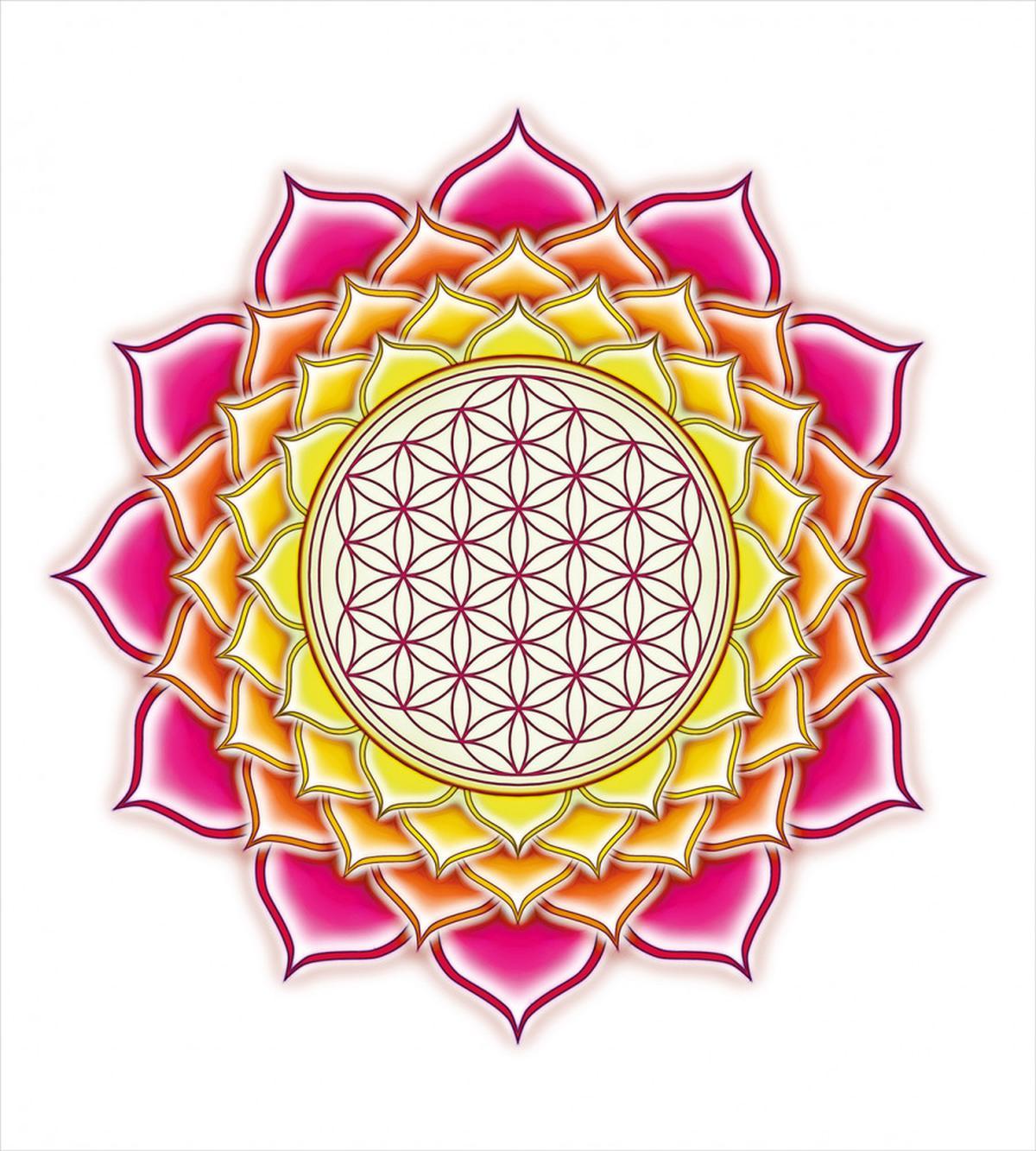 Flower of Life Lotus Vivid — Pattern