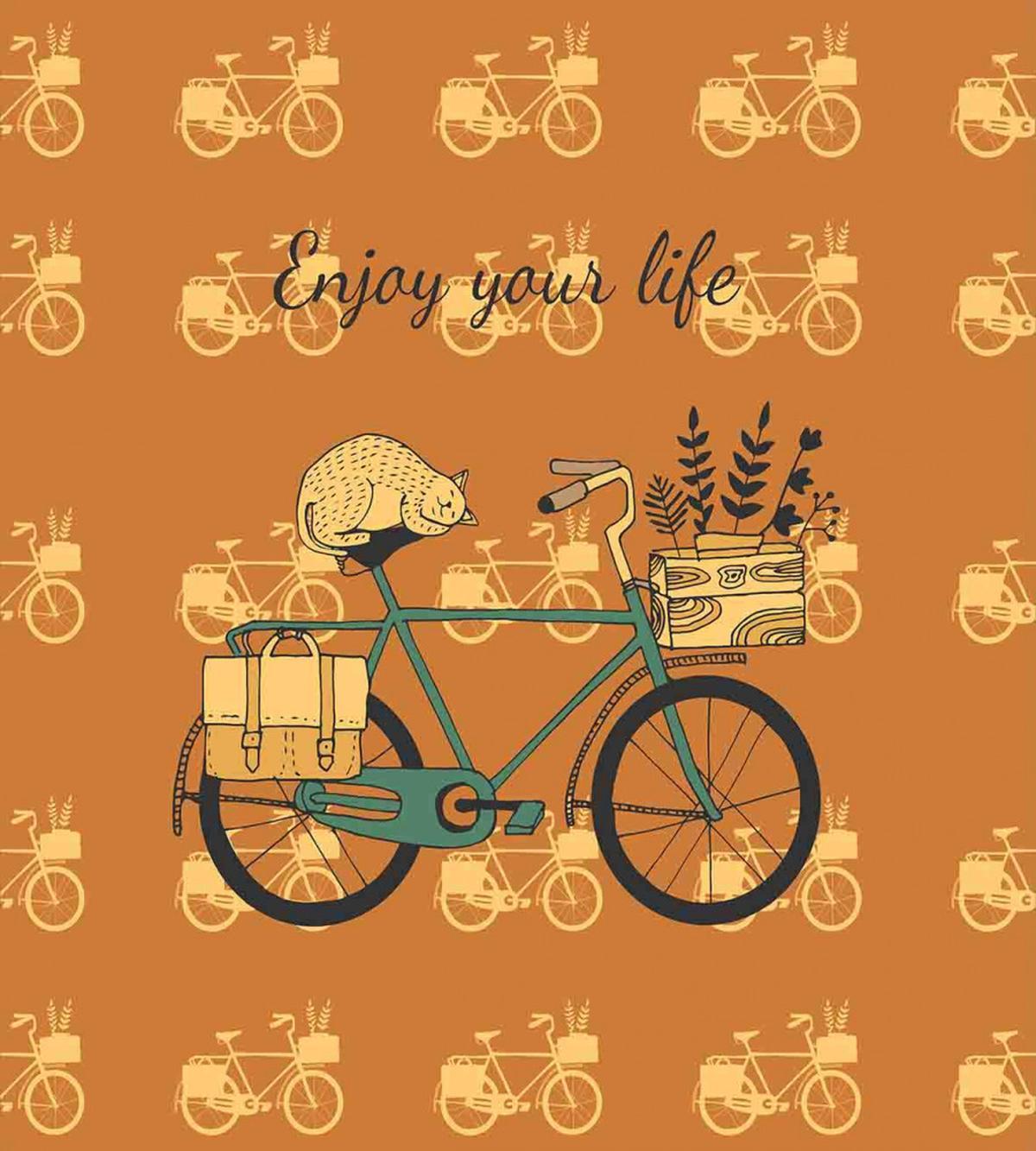Bicycle with Flower Crates — Pattern