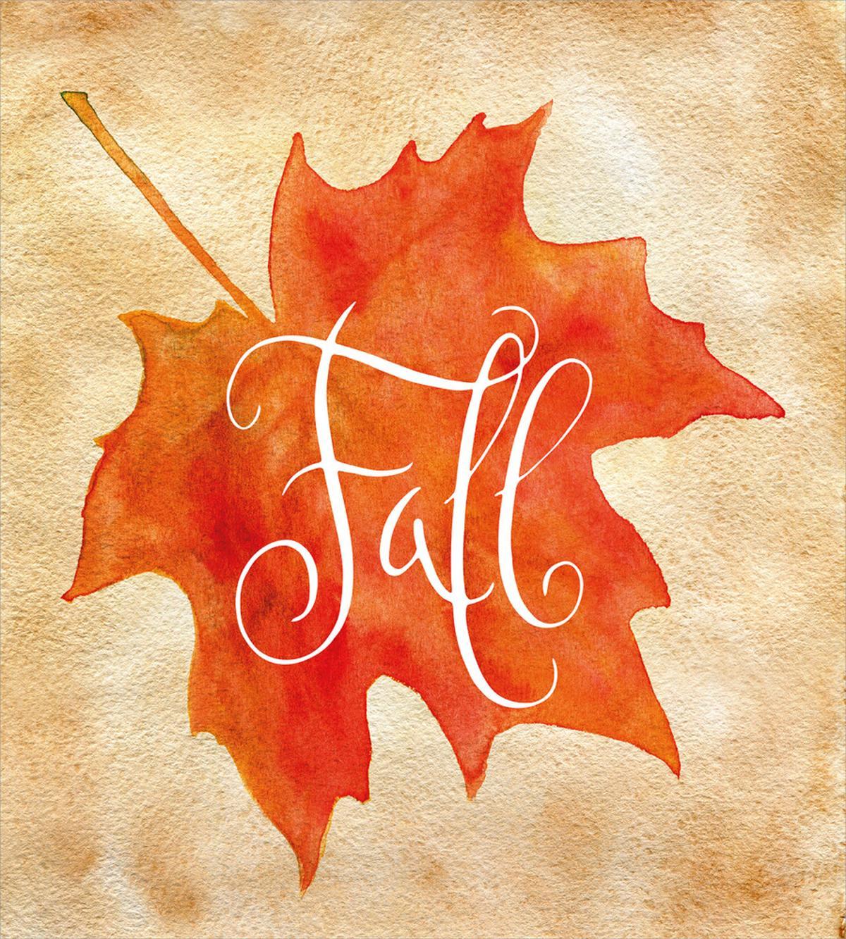 Maple Leaf Vintage — Pattern