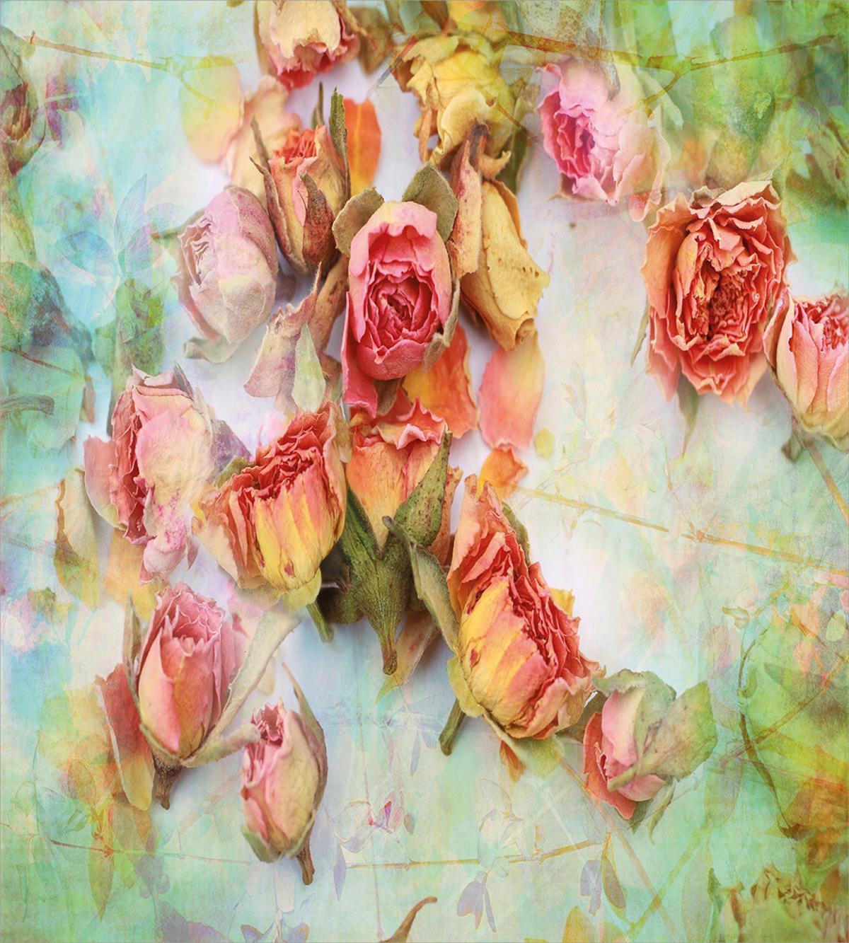 Dried Petals Nostalgia — Pattern