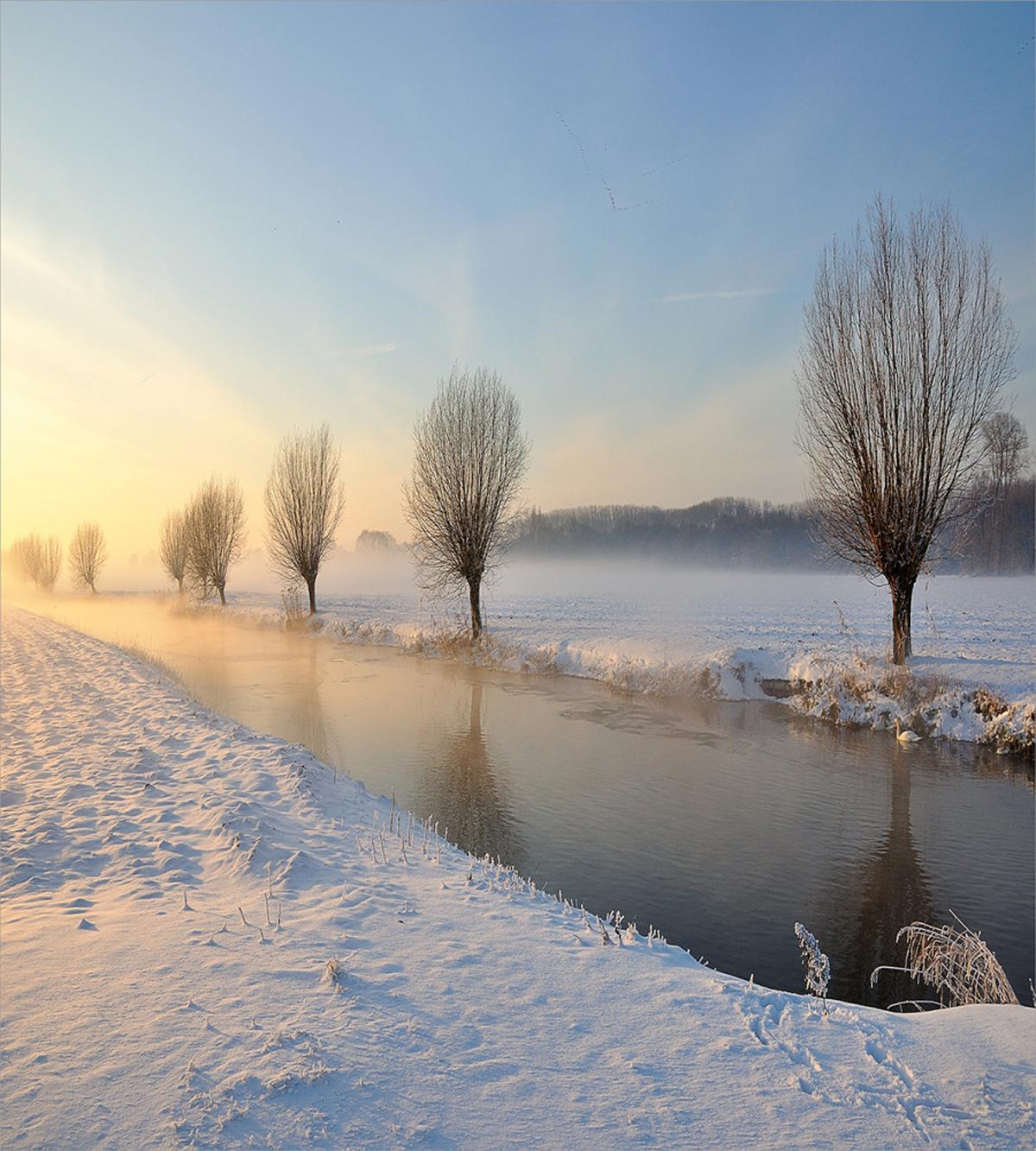 Snowy Season River Trees — Pattern