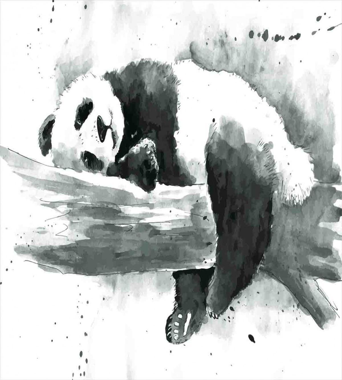 Sleeping Panda — Pattern