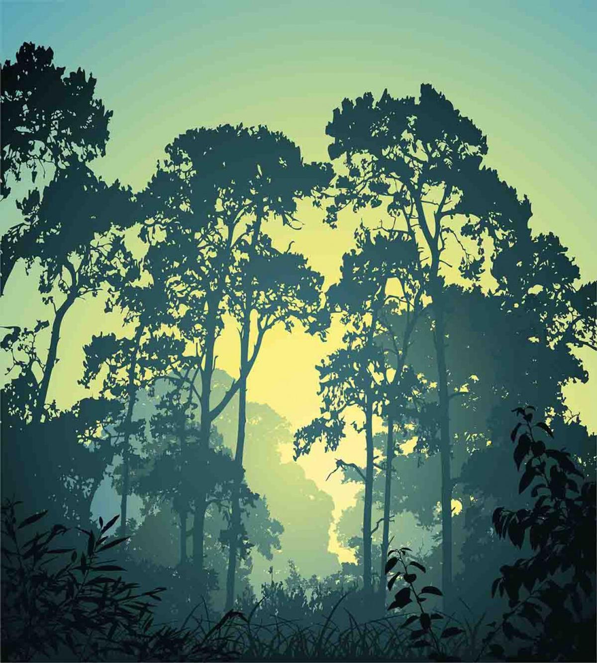 Mist Forest Trees Scene — Pattern