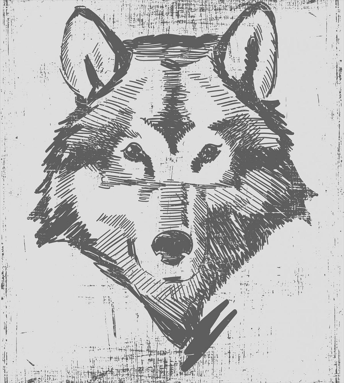 Detailed Sketch Canine — Pattern