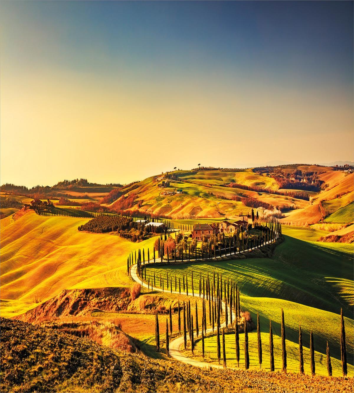 Tuscany Crete Senesi — Pattern