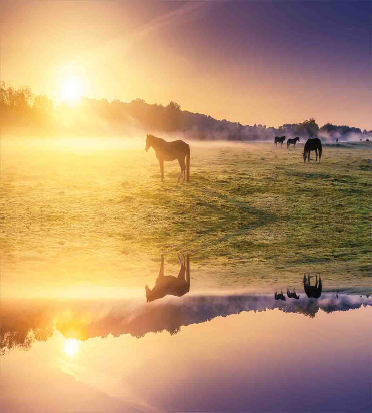 Horse Valley with Lake — Pattern