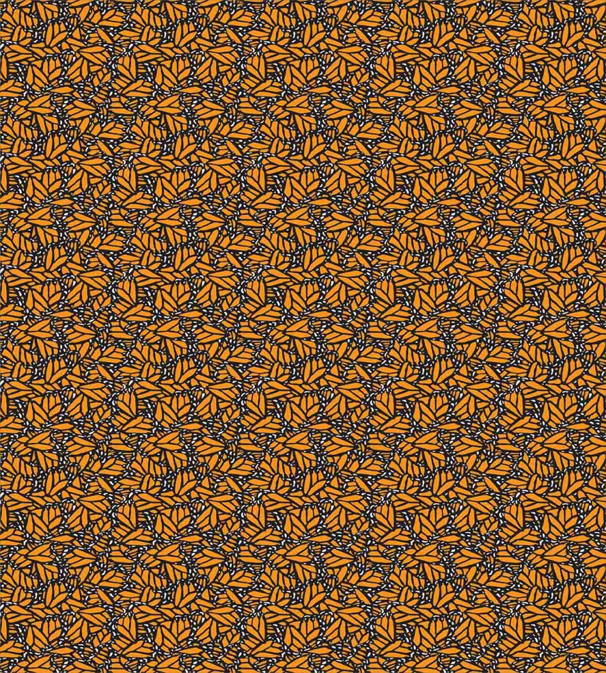 Butterfly Wing Pattern — Pattern