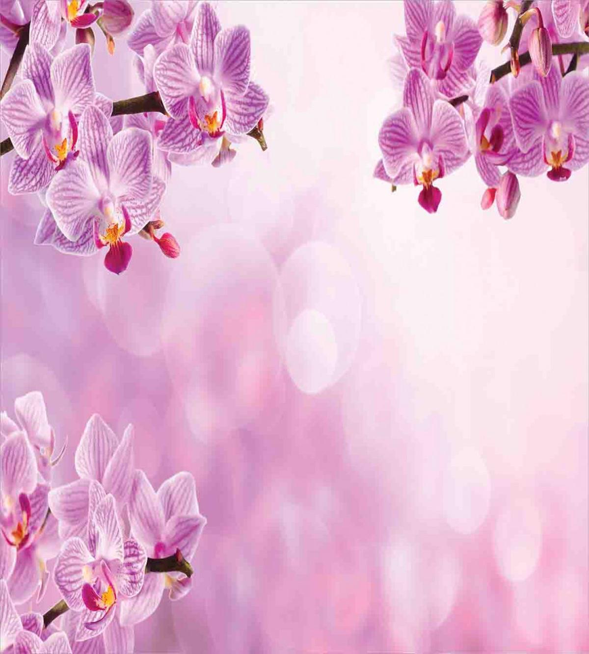Orchid Spring Petals Spa — Pattern