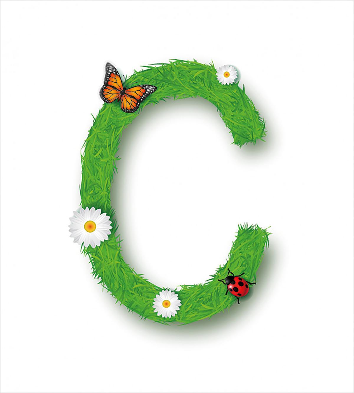 C with Grass Greenland — Pattern