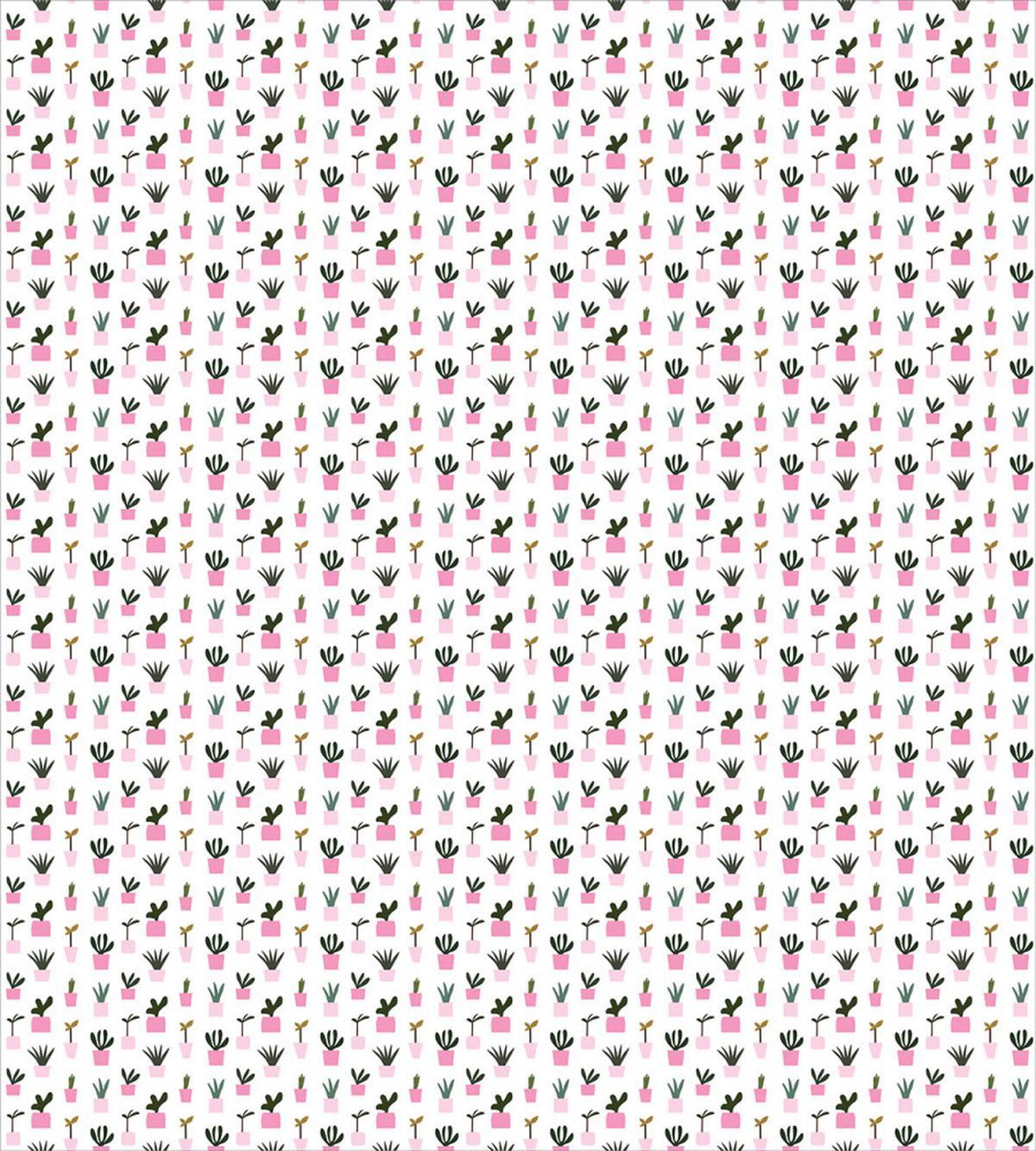 Succulent Cactus Pot Cartoon — Pattern