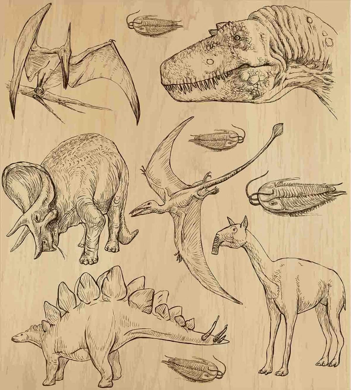 Vintage Sketch Animals — Pattern