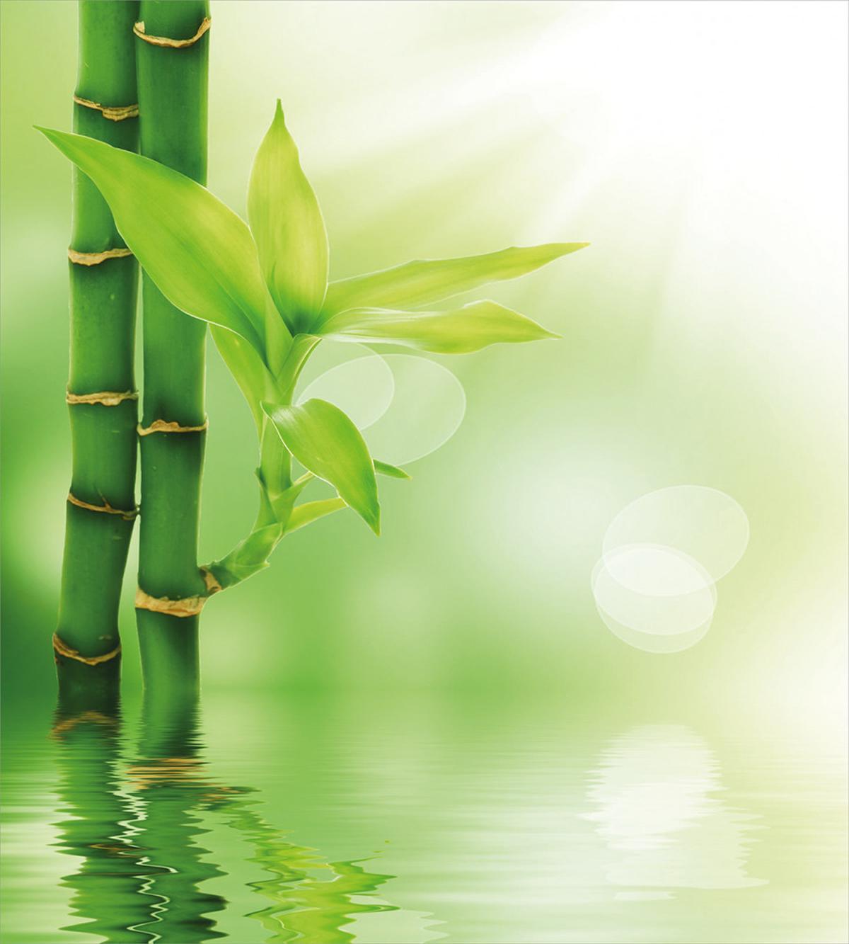 Bamboo out of Water — Pattern