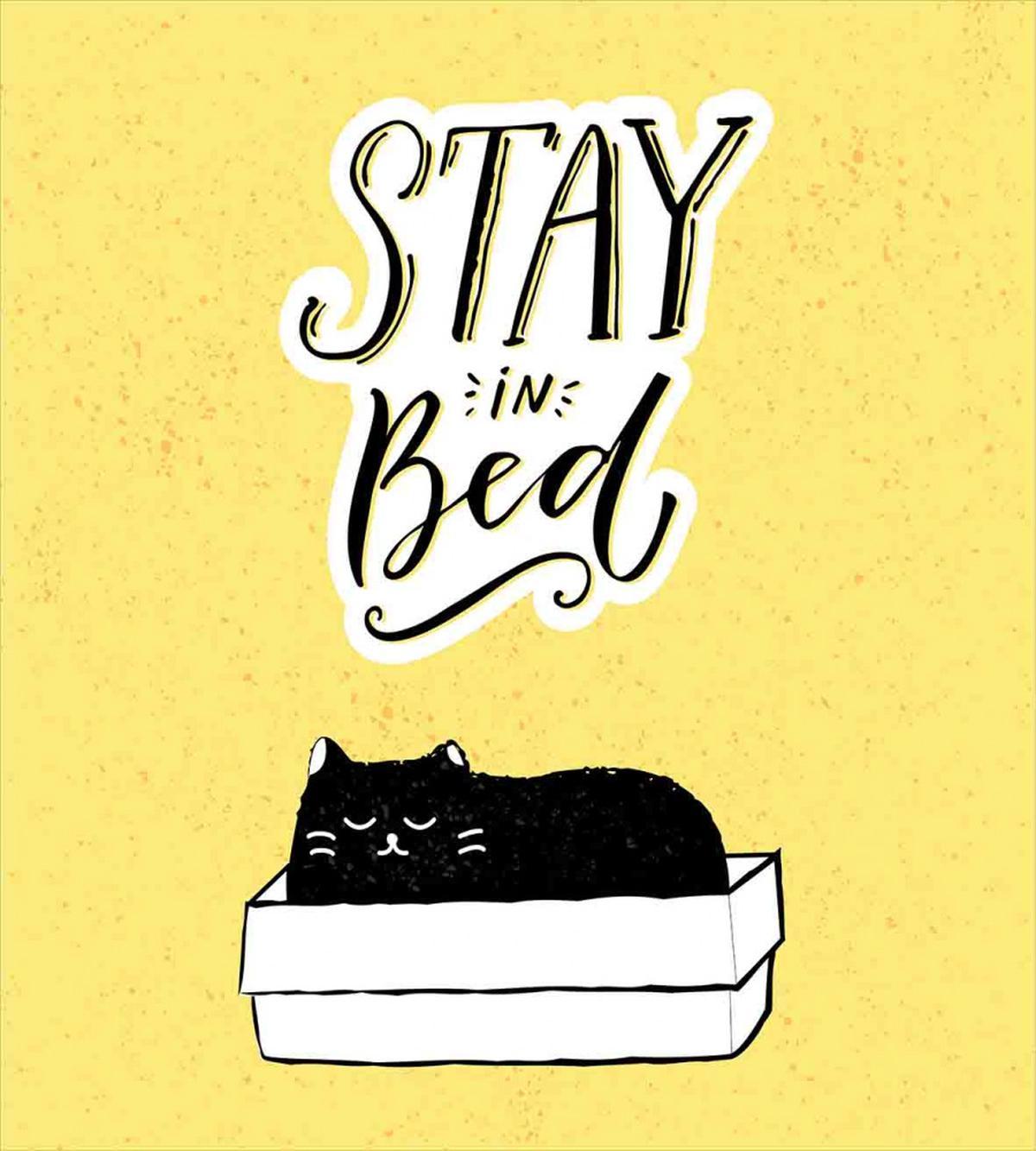 Sleepy Black Cat in a Box — Pattern
