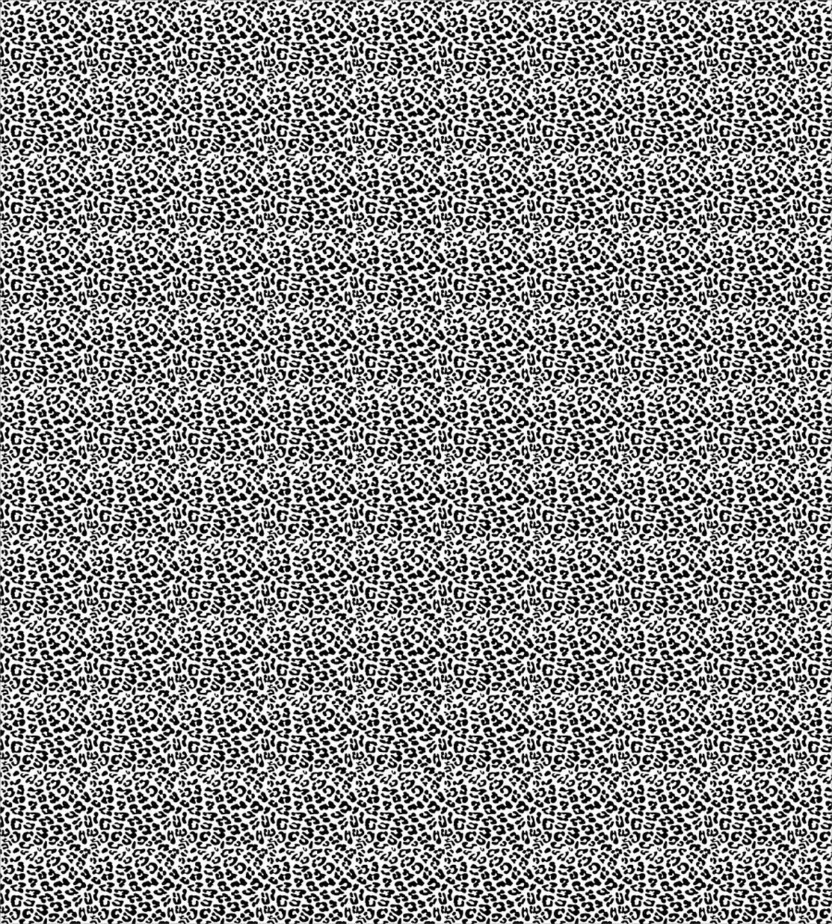 Wild Animal Abstract — Pattern