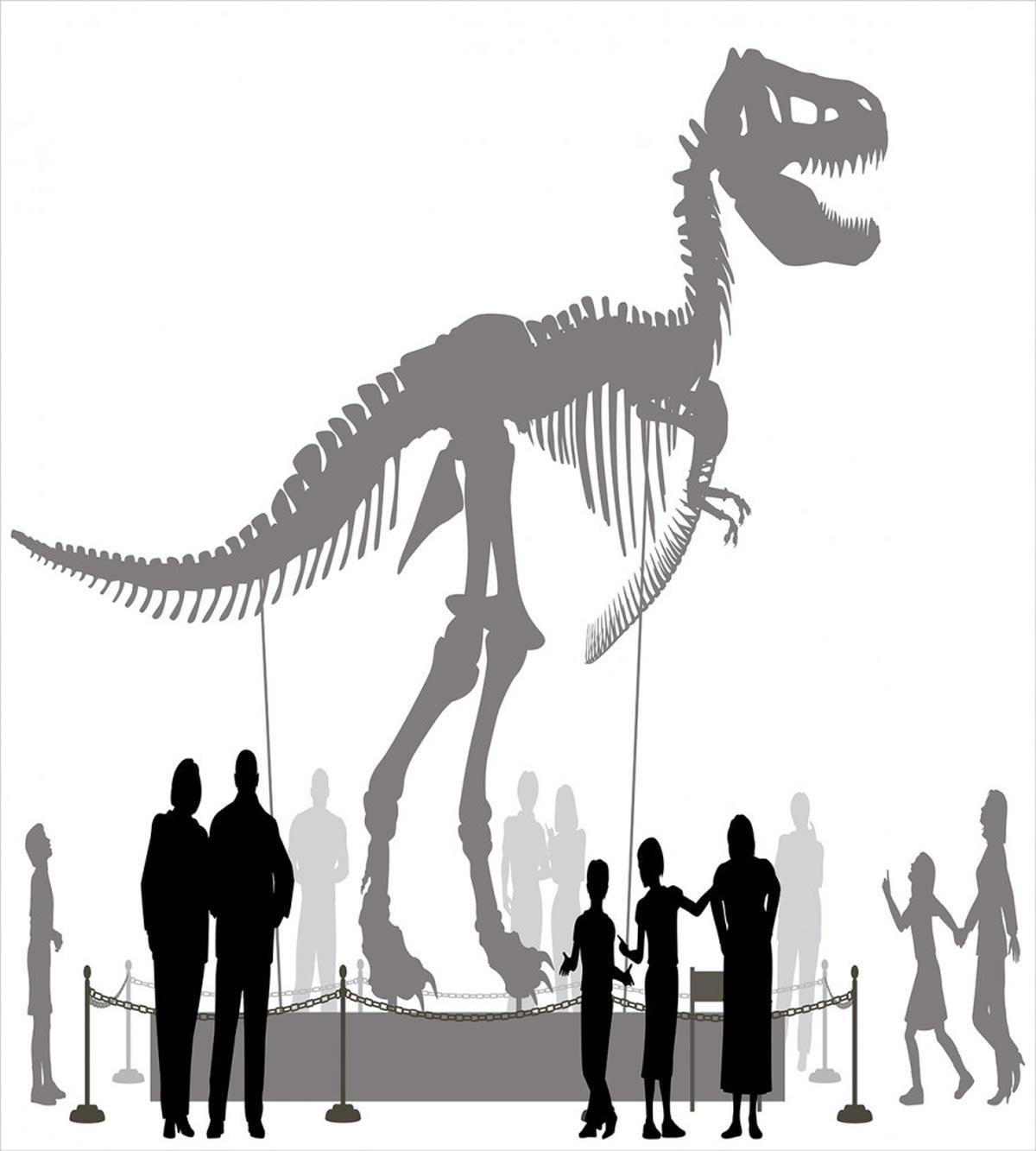 People Look at T-Rex — Pattern