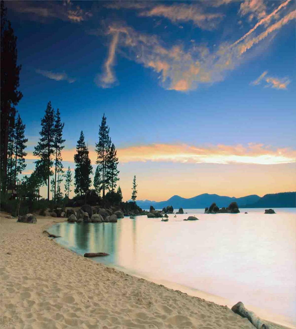 Peaceful Paradise Trees — Pattern