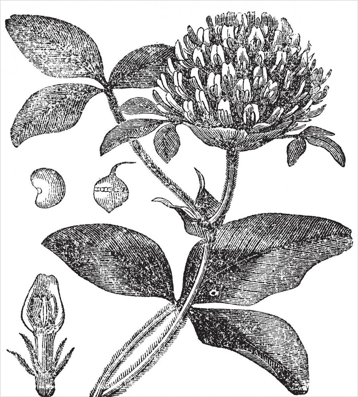 Nostalgic Flower Art — Pattern