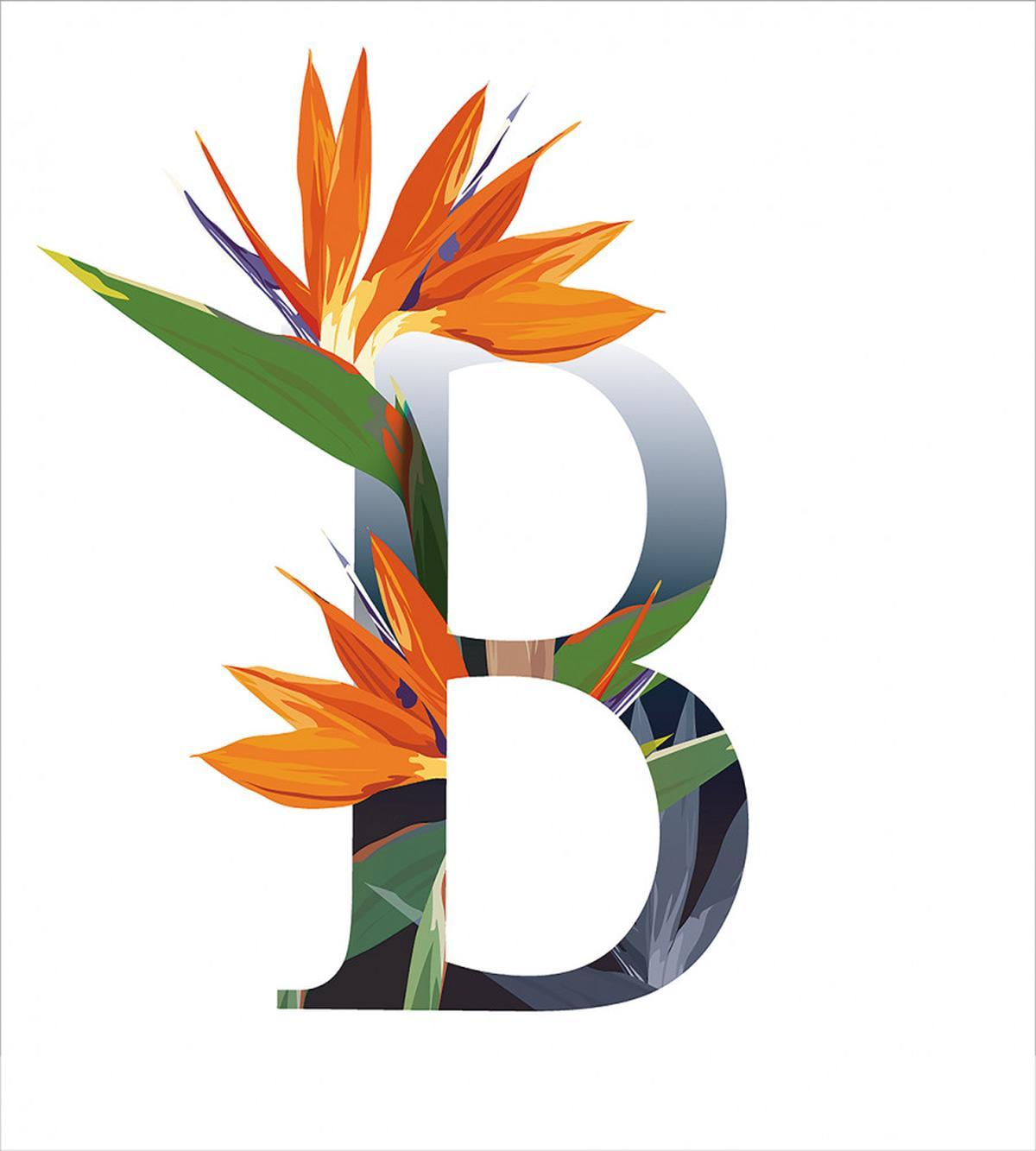 Bird of Paradise B — Pattern