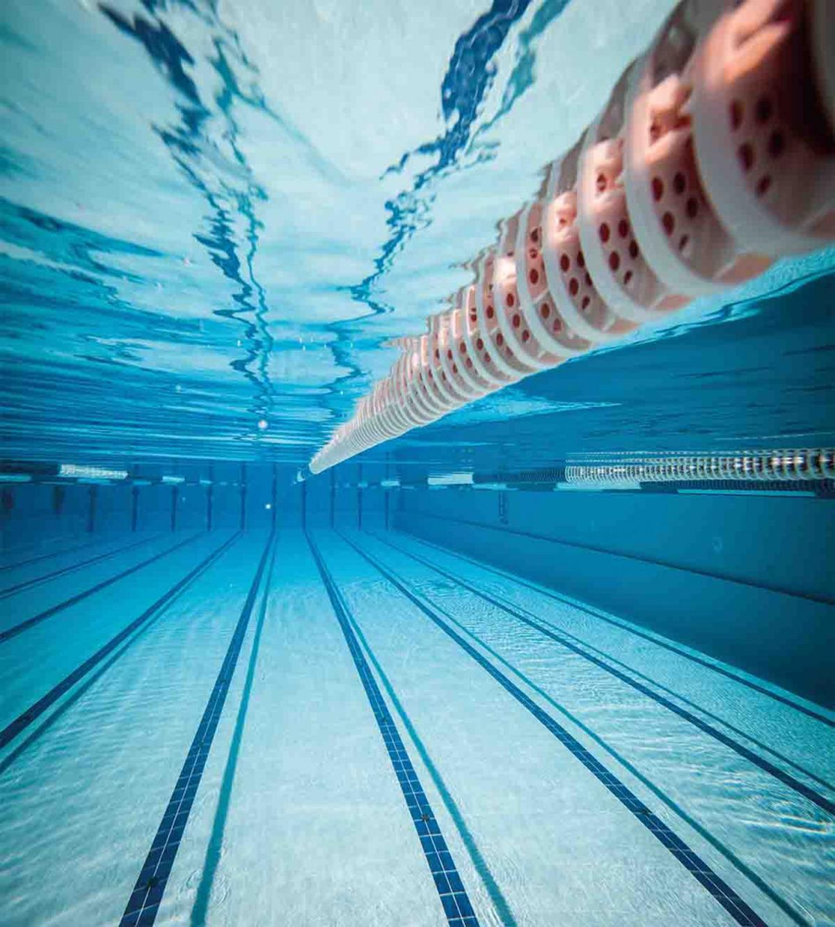 Swimming Pool Sports View — Pattern