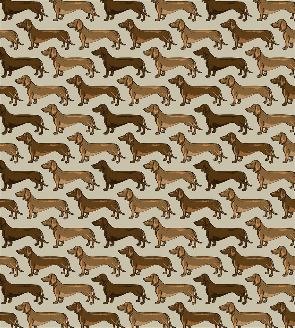 Canines Pattern — Pattern