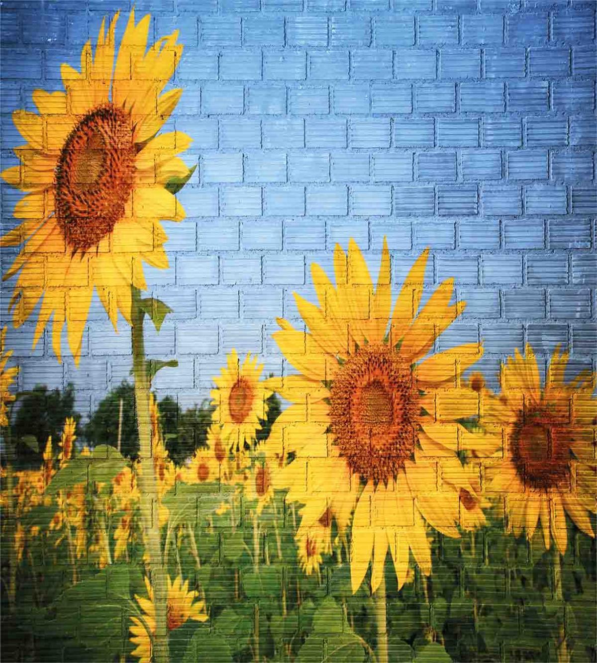 Sunflowers on the Wall — Pattern